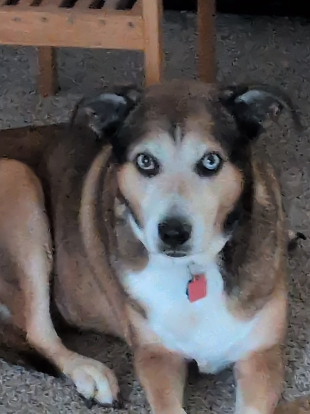 One last test&nbsp;post